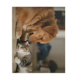 Cozy Pet Puzzle for Animal Lovers, 120-500 Pieces, Dog Cat Lovers Gift, Cat Dog Puzzle, Home Decor Puzzle, Family Bonding Activity