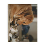 Cozy Pet Puzzle for Animal Lovers, 120-500 Pieces, Dog Cat Lovers Gift, Cat Dog Puzzle, Home Decor Puzzle, Family Bonding Activity